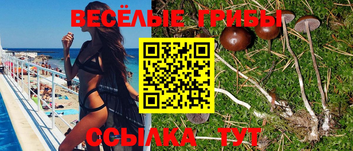 Мытищи  Галлюциногенные грибы прущие грибы  Вход с VPN 