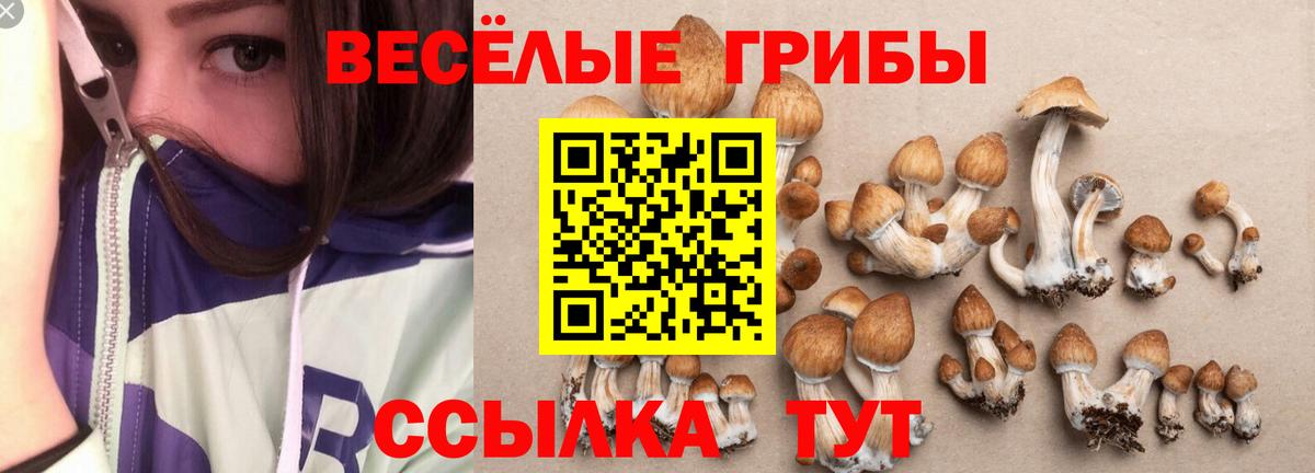 Псилоцибиновые грибы ЛСД Мытищи